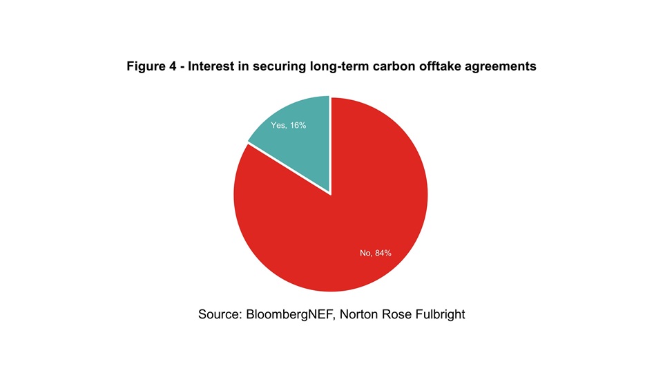 global net-zero survey - Figure 4