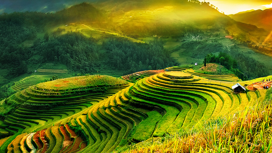 Vietnam