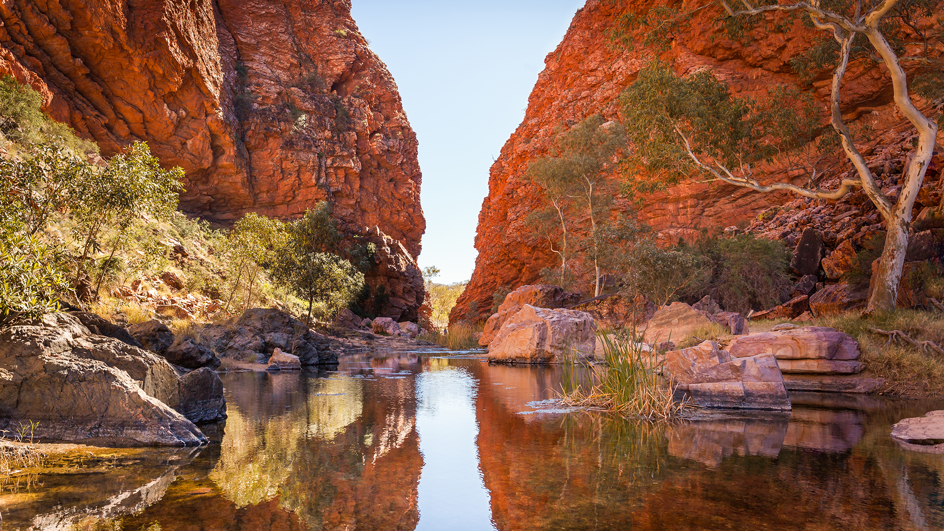 calm river in the morning