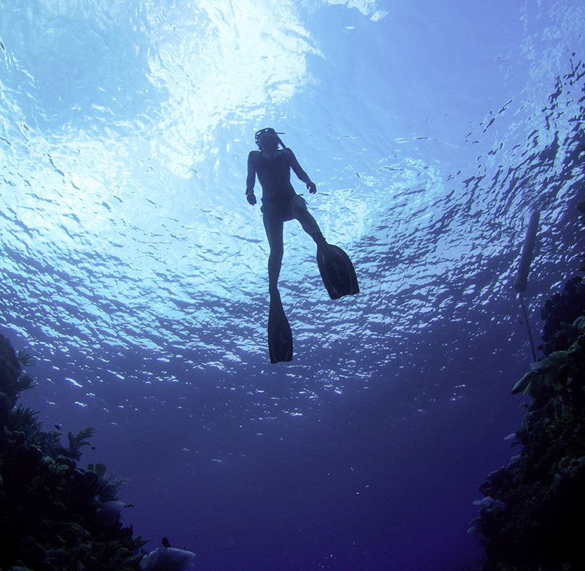 free diving