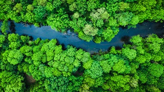 River aerial view