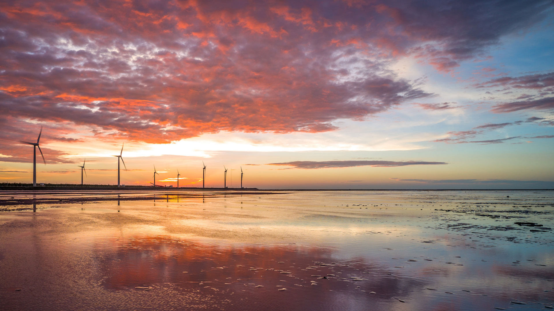 Wind farm at sunset