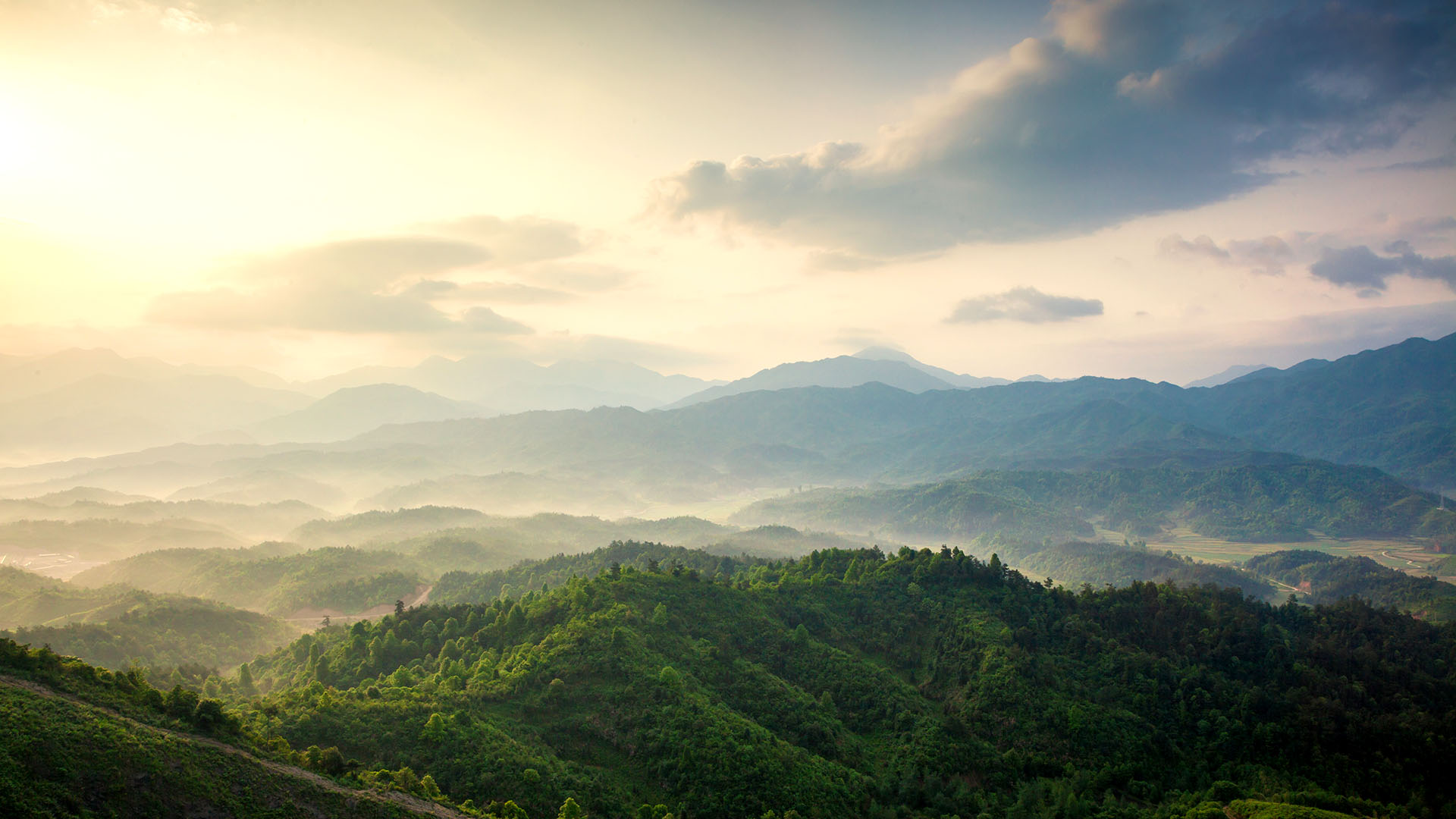 mountains under mist