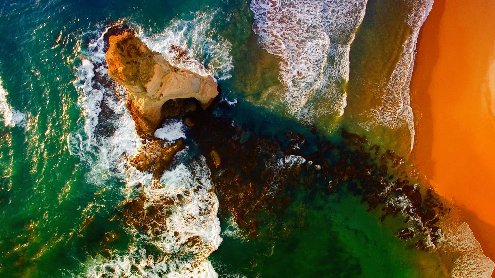 Environment-sea-ocean-shore-stone-rock