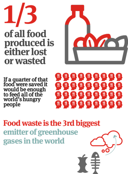 global food challenge