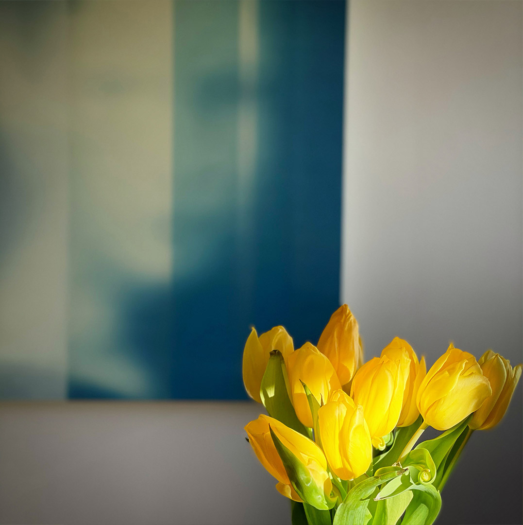 Yellow flowers