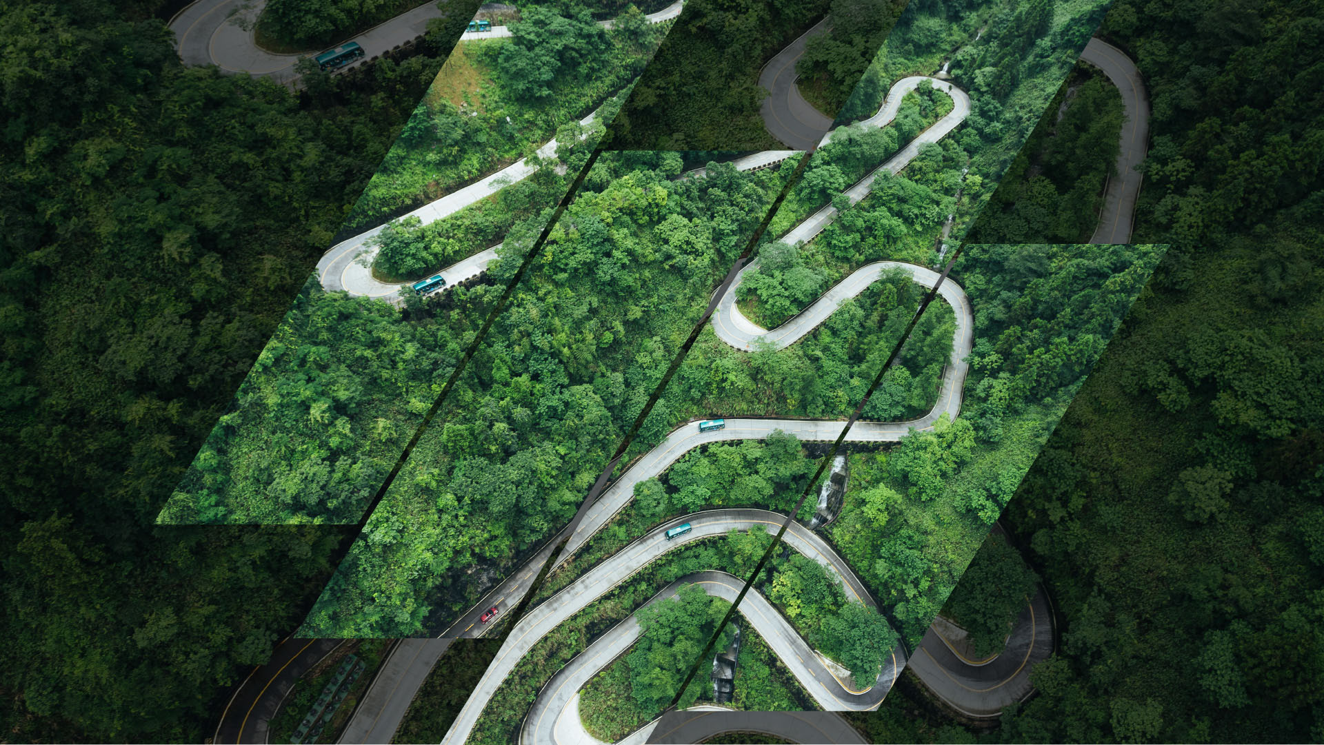 Winding roads in forest