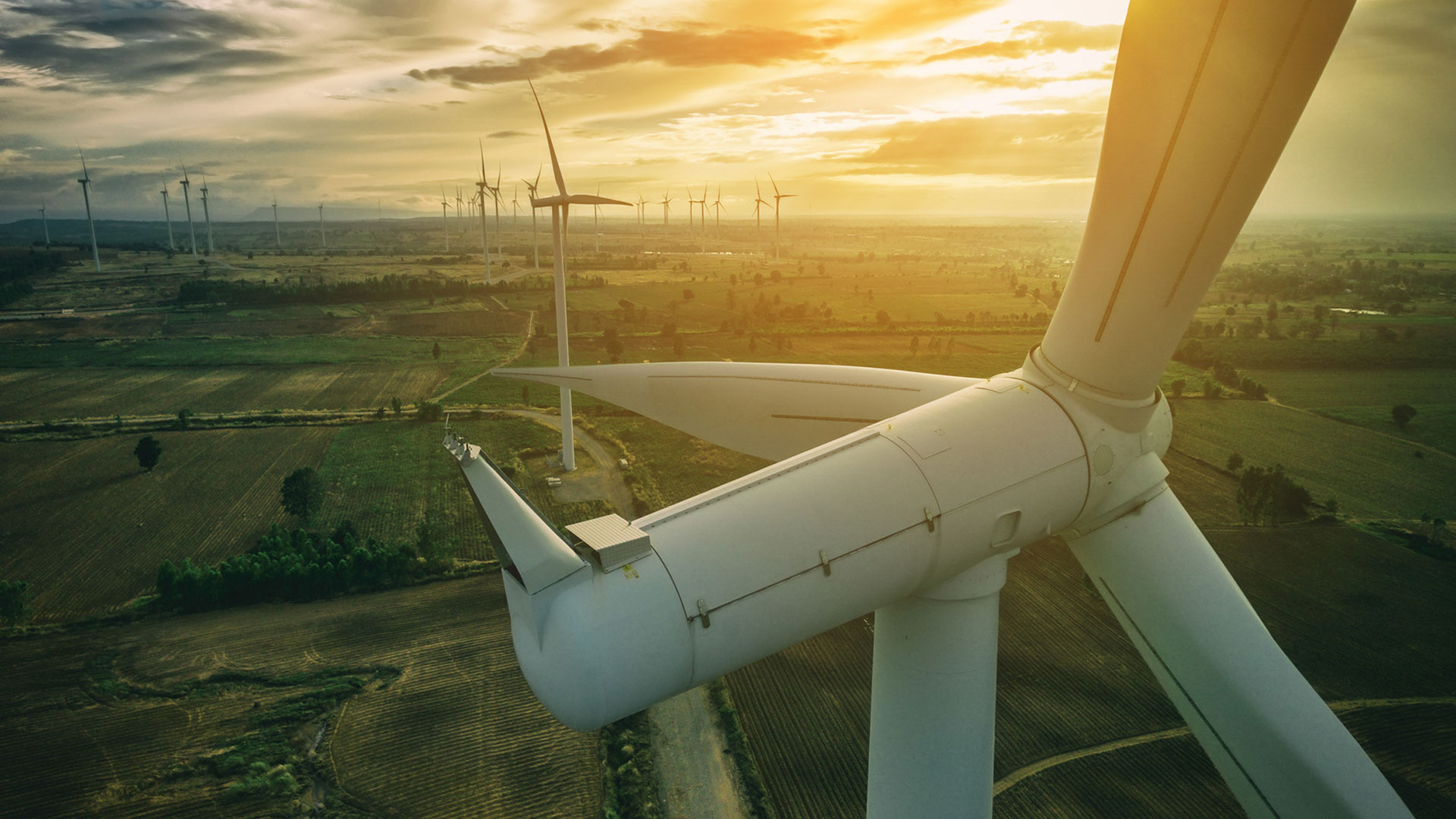 The Green Industrial Revolution