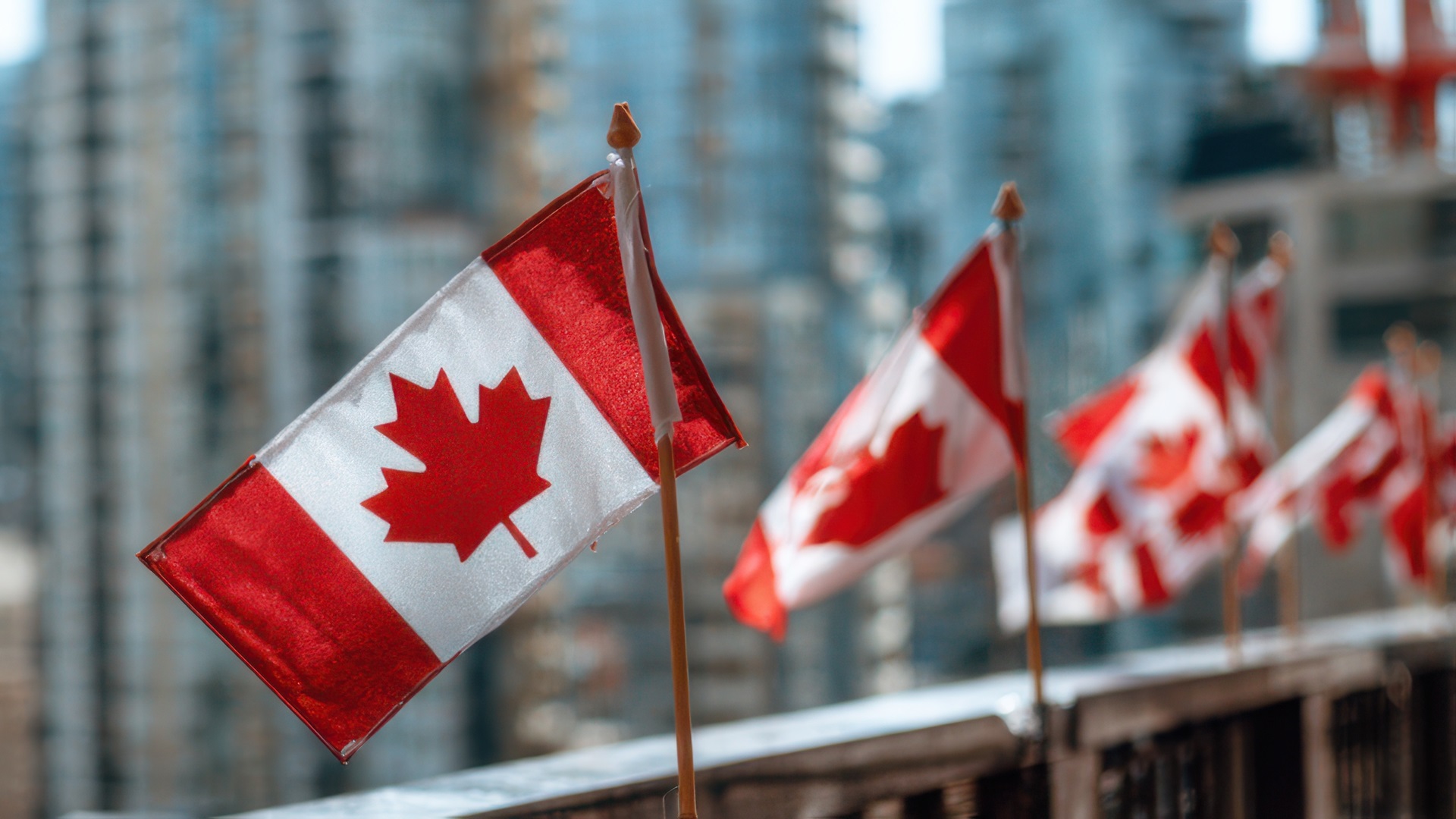 canadian flags with downtown view