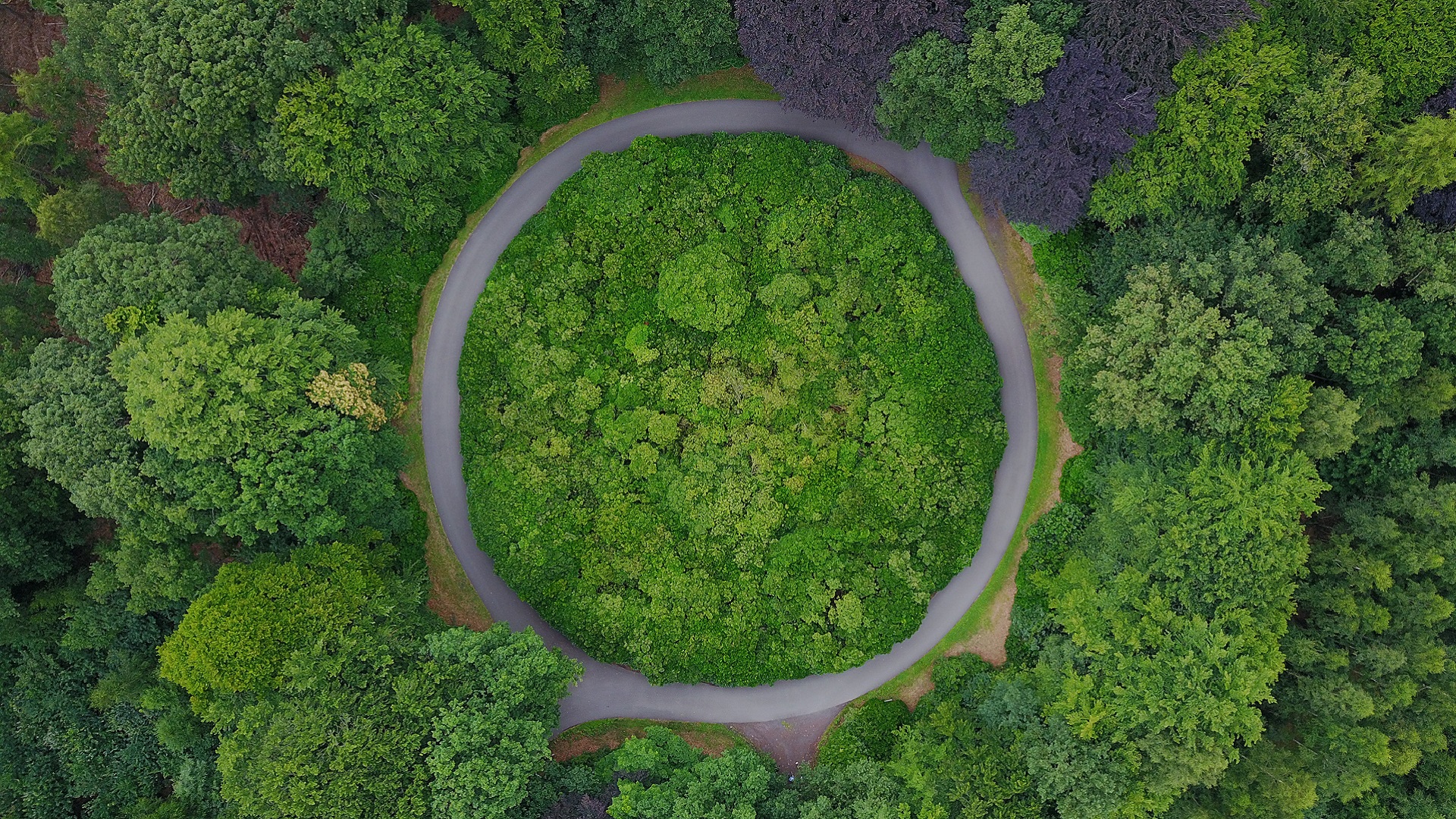 green circle birds eye view