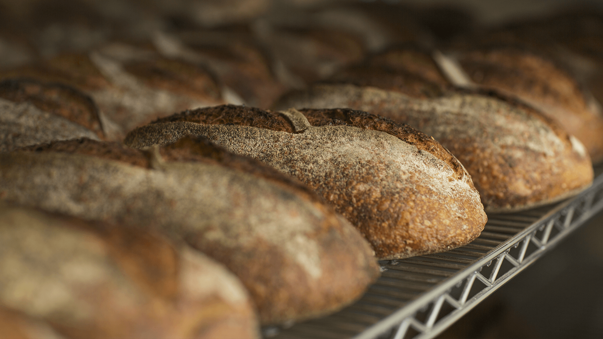 Artisanal bread loafs in cooling rack at bakery