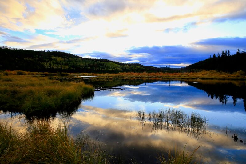 Concordia University’s project to drive protection of biodiversity hotspots in watercourses in agricultural areas