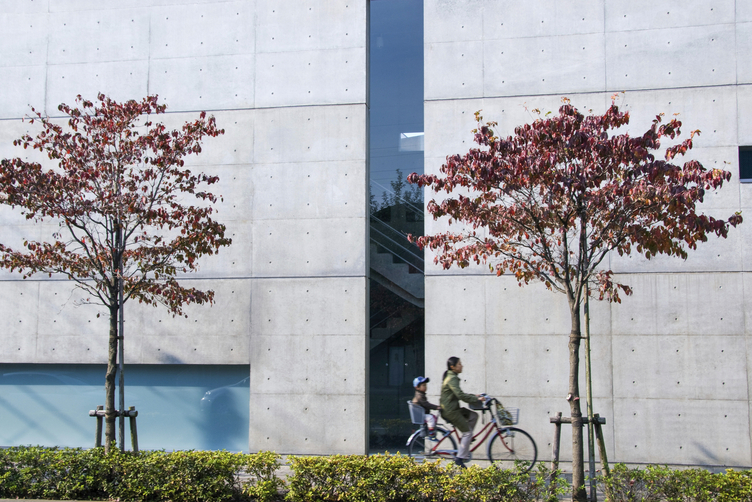 An exterior wall of the Tokyo Art Museum (with two trees and a cyclist)