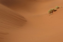 Namibian desert (close-up) by Stephane Braun