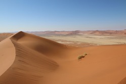 Namibia's desert