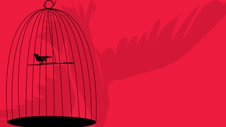 bird in cage with pink background