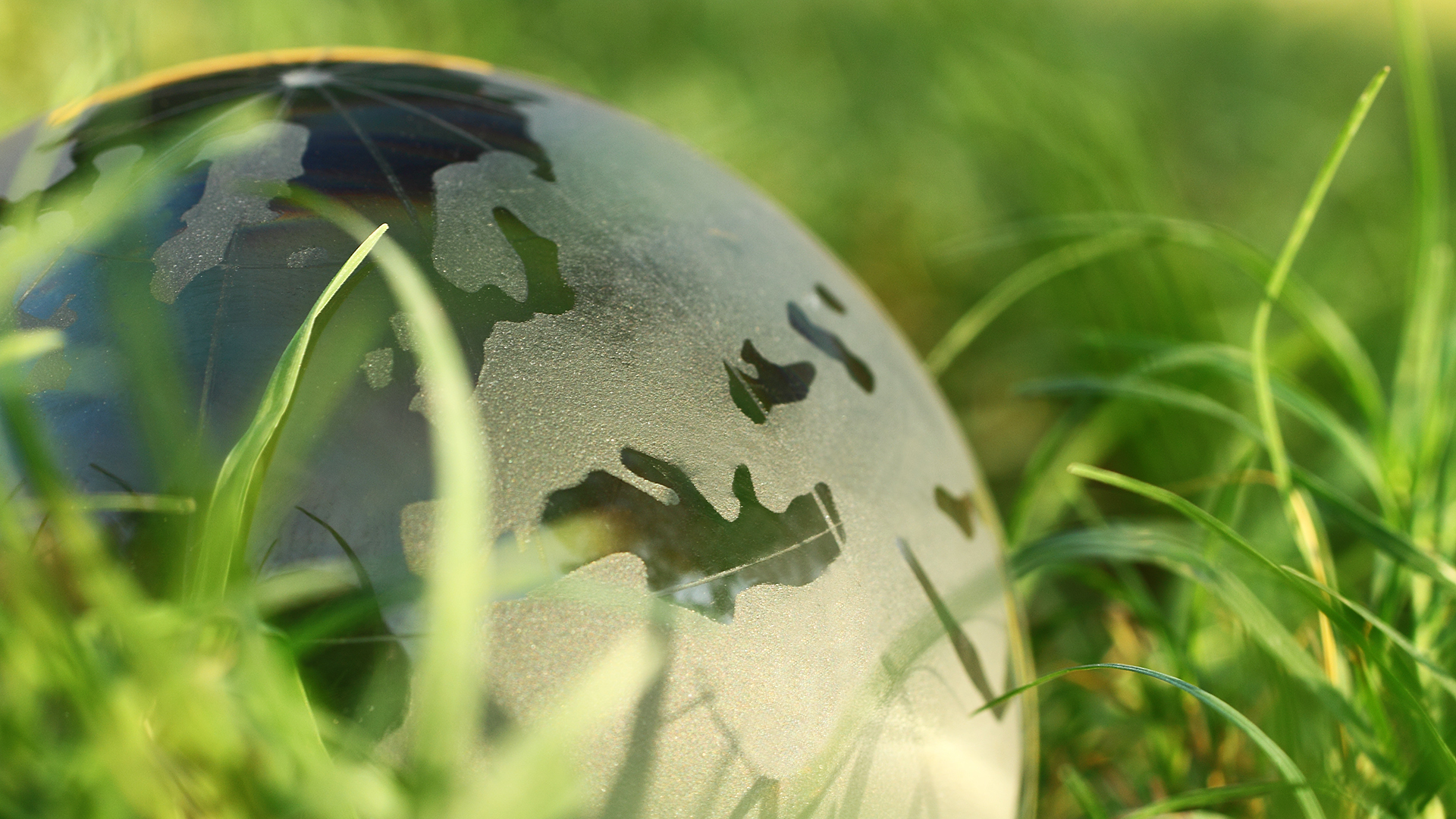 ESG regulation: Global themes and what's on the horizon