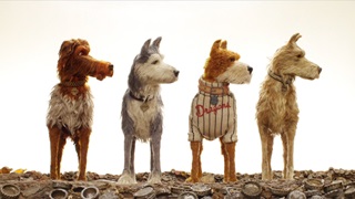 four dogs (a scene from the movie Isle of Dogs)
