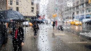 New York Rain