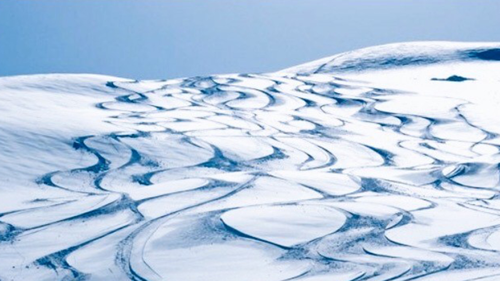 Snow landscape