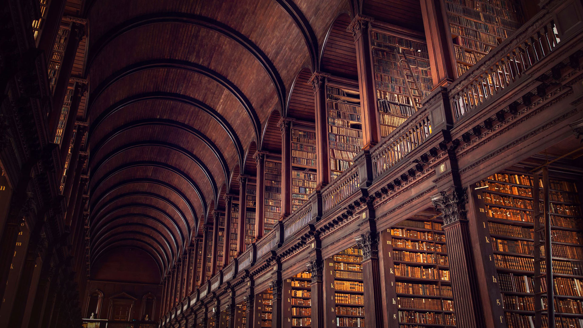 The long room, library, Trinity College Dublin