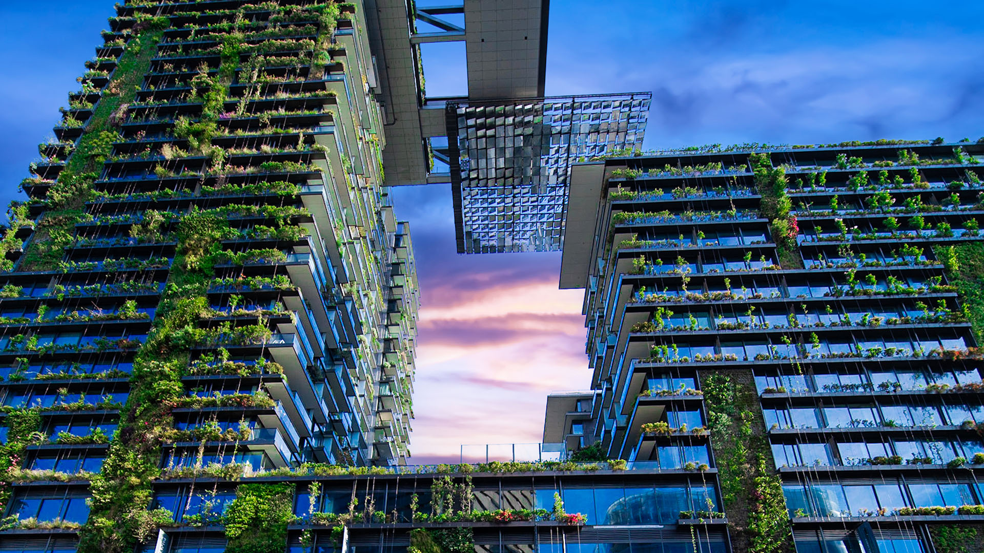 Sustainability collaborations under Australian Competition Law