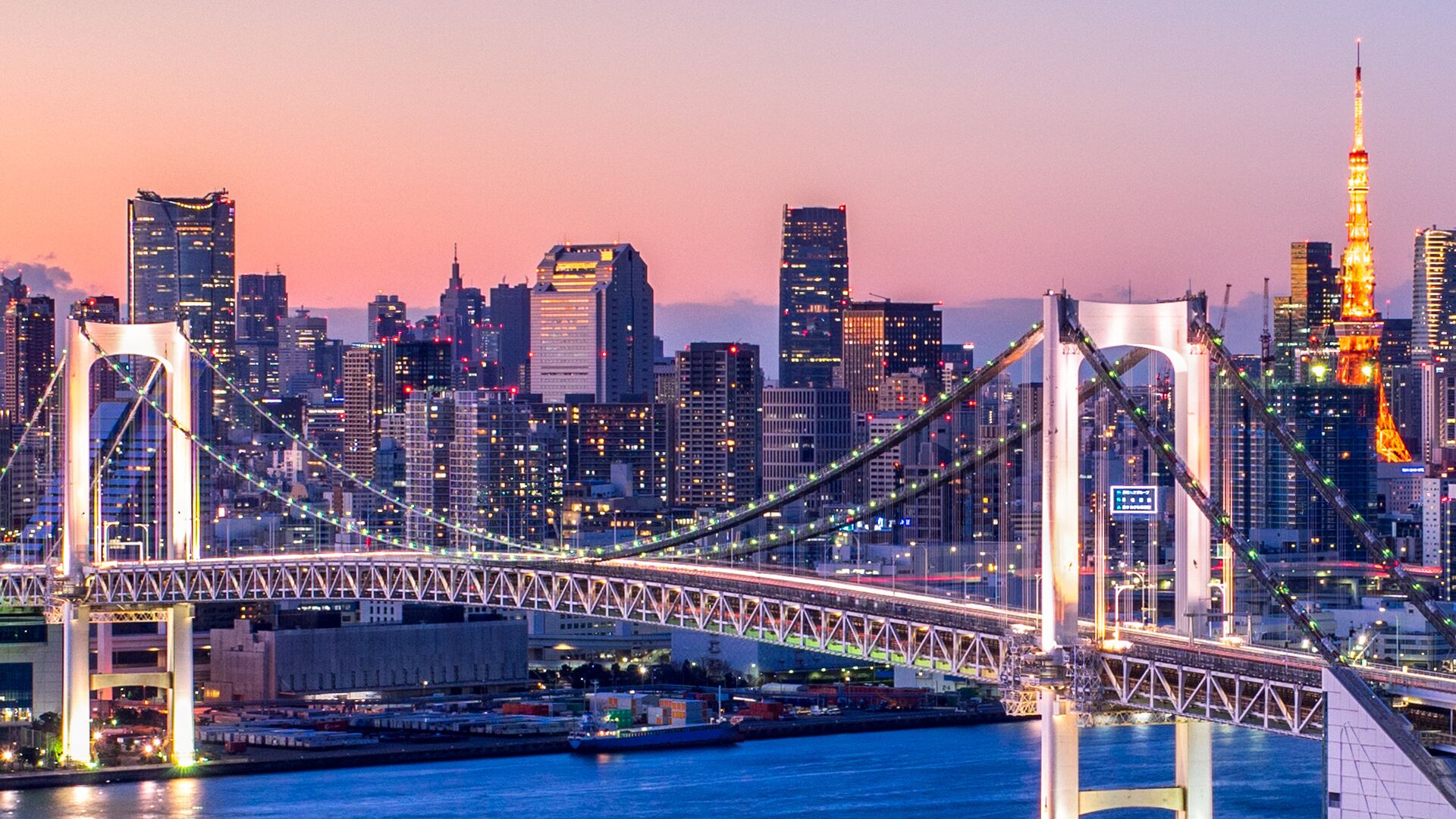 Bridge Panorama in Tokyo