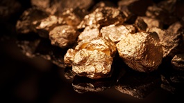 Close up lump of gold mine