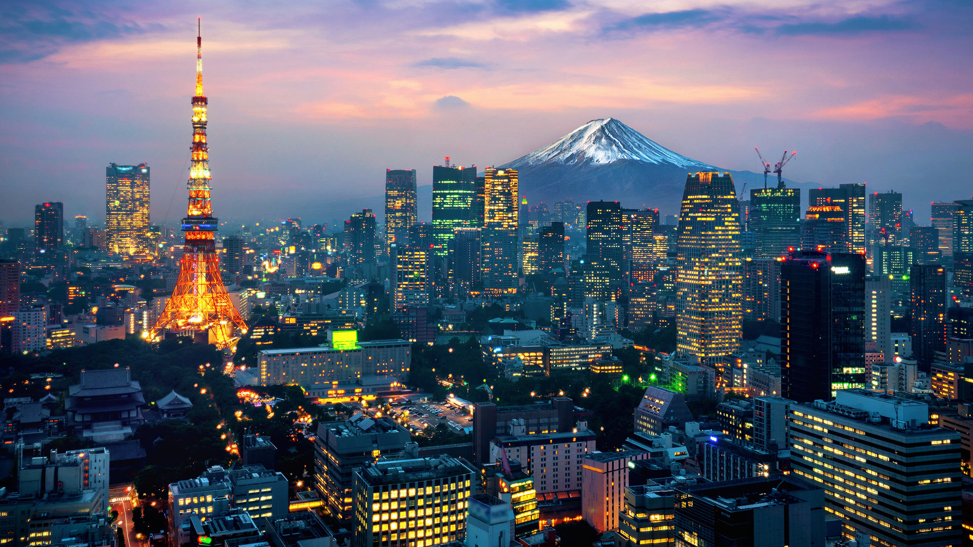 Japan: Competition law fact sheet 