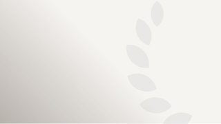 Chambers award logo