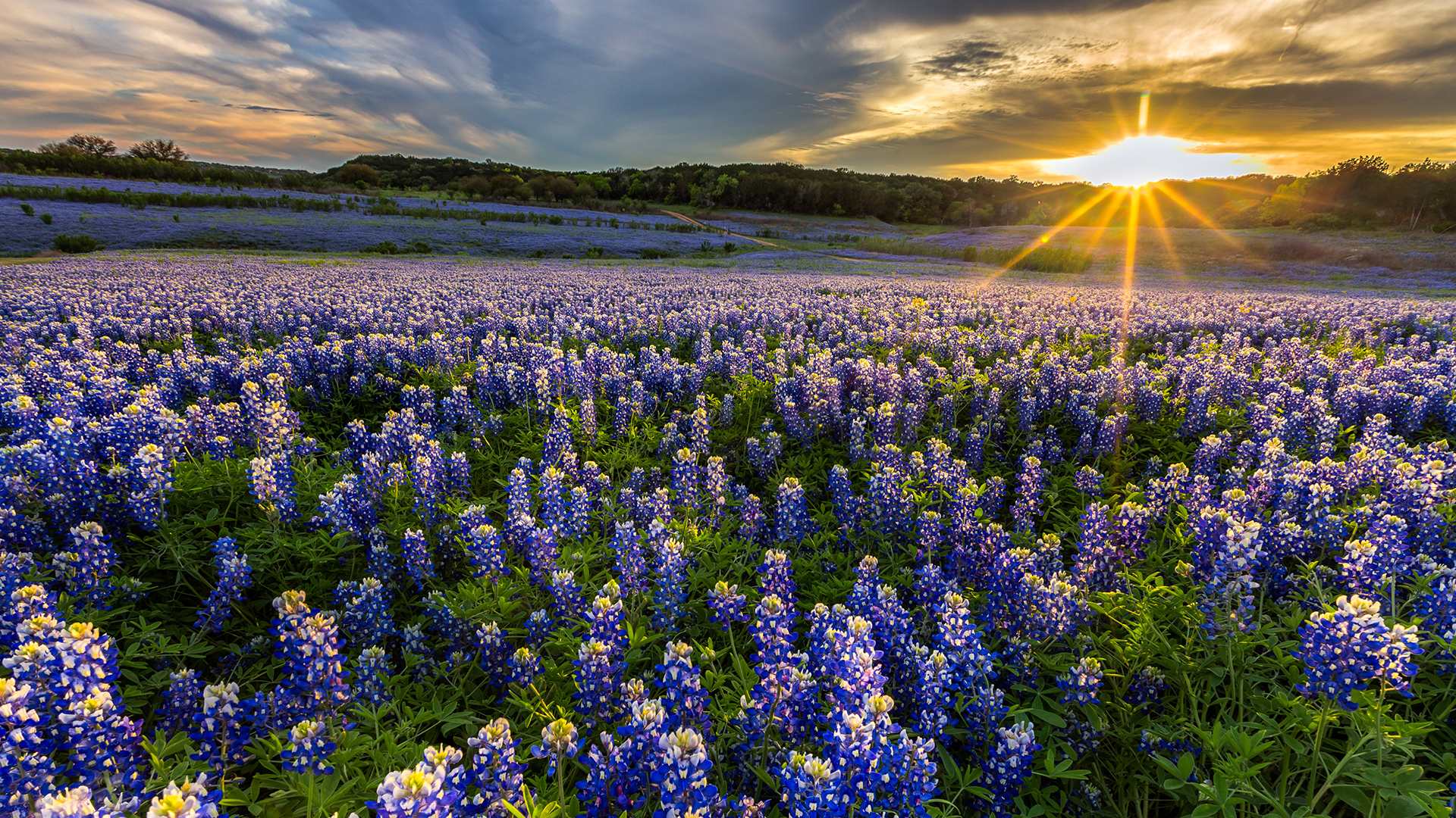 Defining decisions: A year in review of Texas Business Court foundational cases