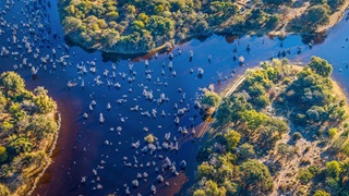 Aerial view of a lake in Africa