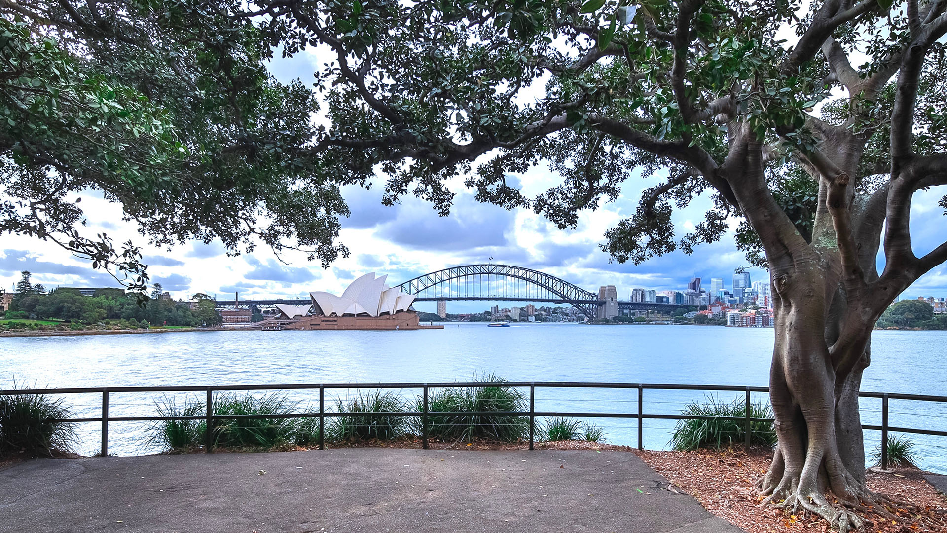 Australian skyline