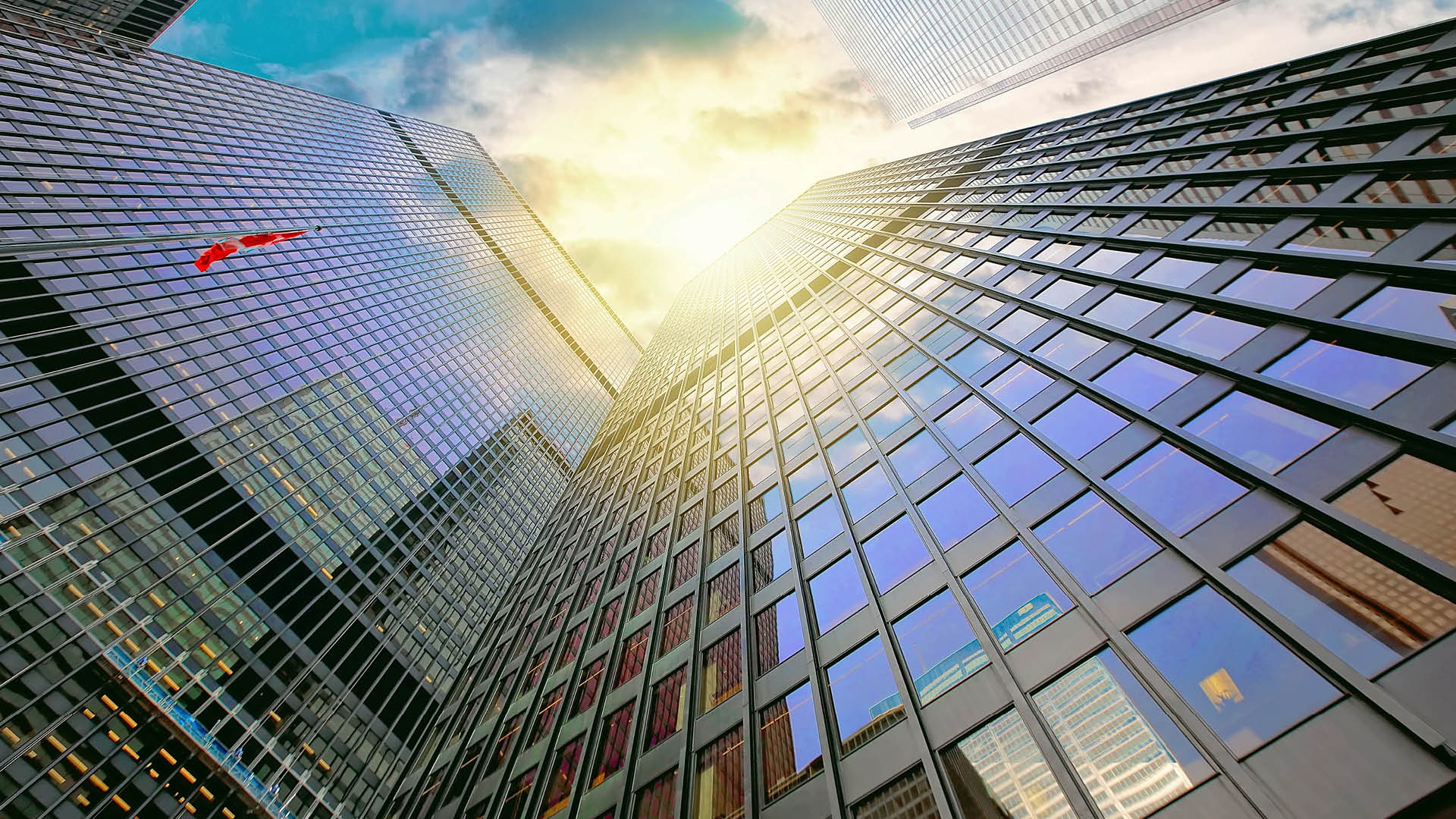 Senior management responsibility in financial services