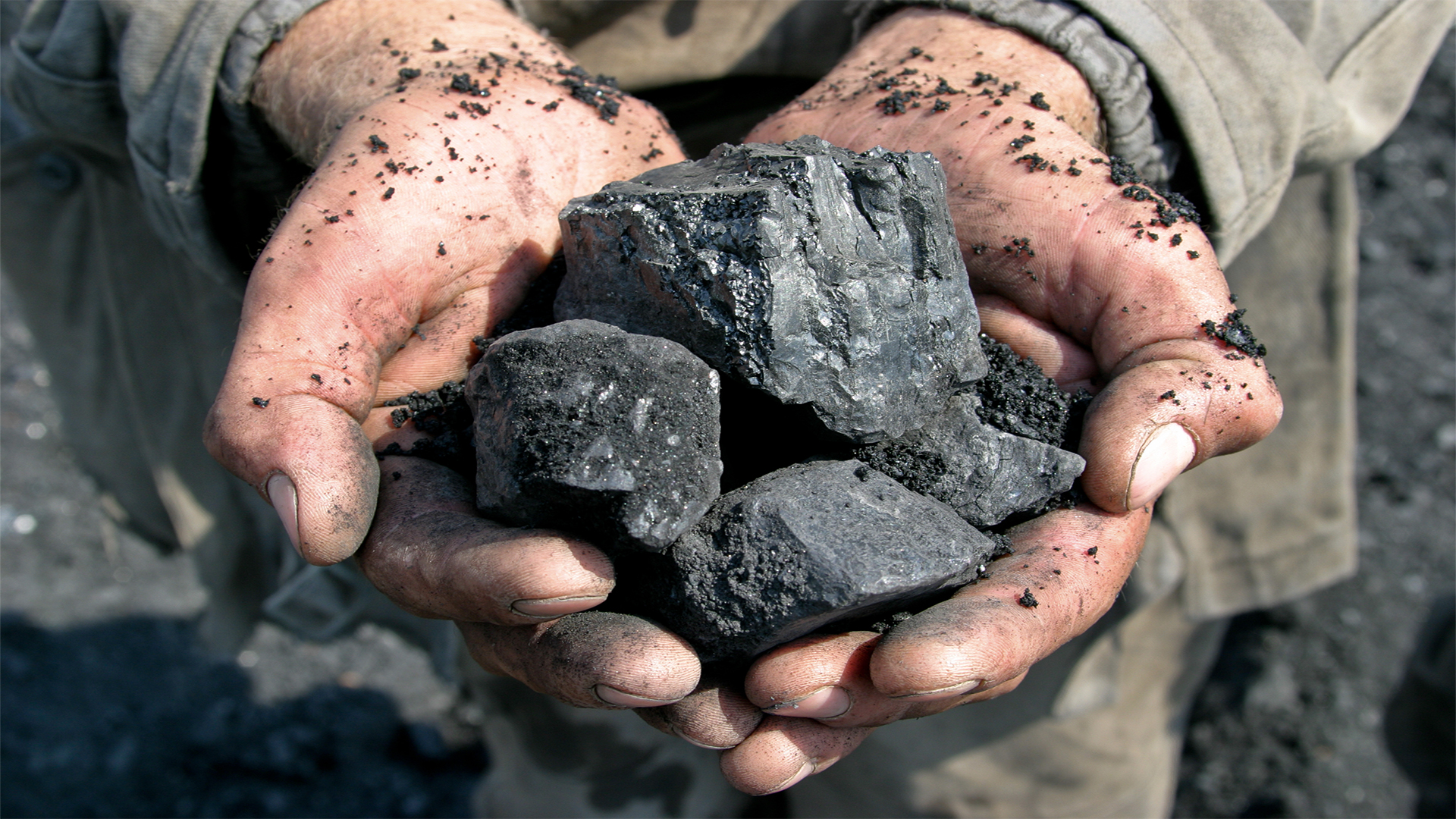 Coal in the hands of miner