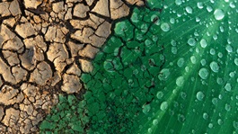 crack-soil-texture