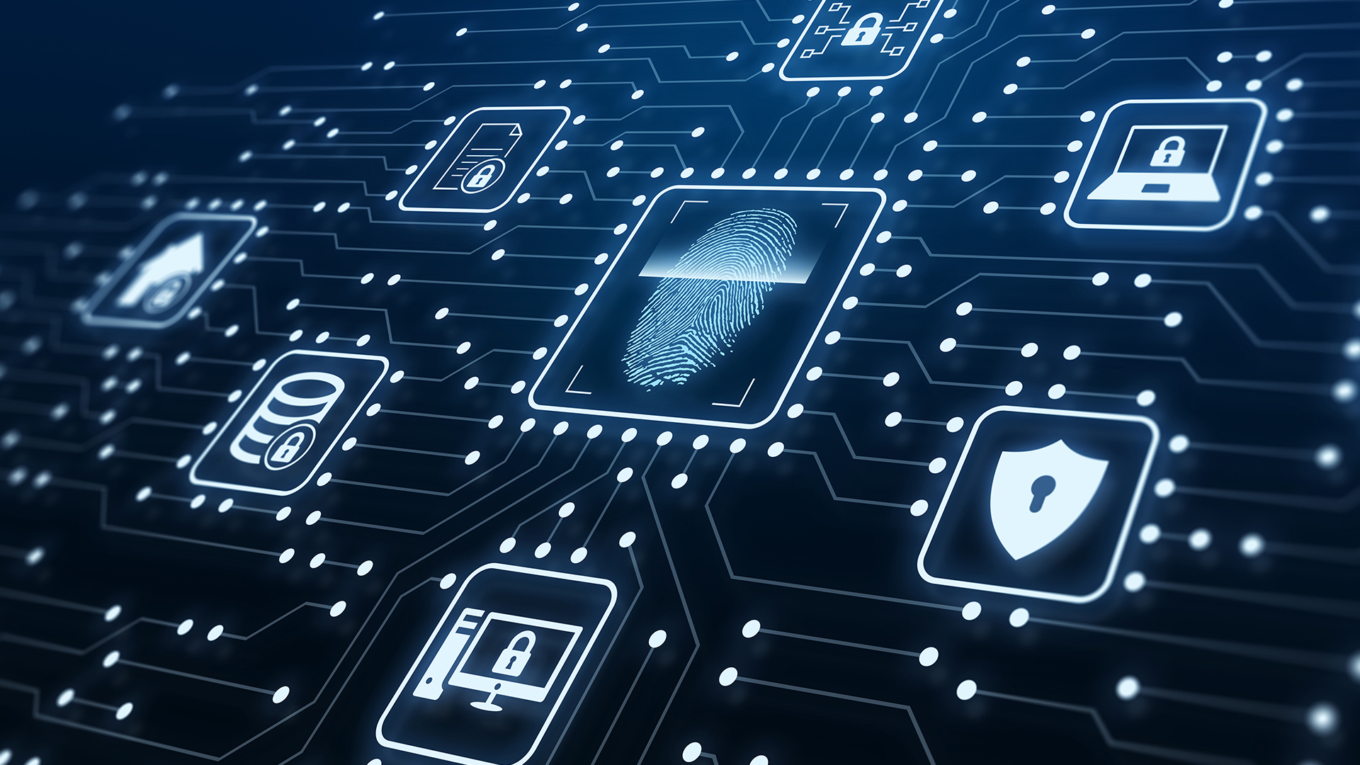 Biometric data: Promises and pitfalls