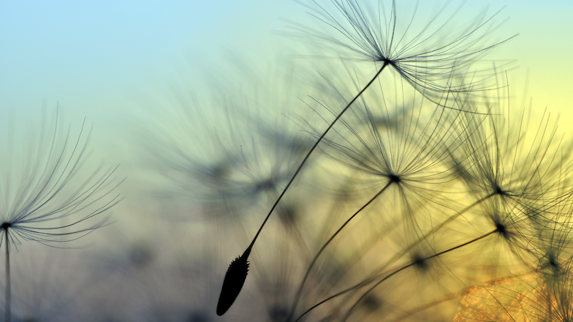 Environmental, Social and Governance issues in the Middle East