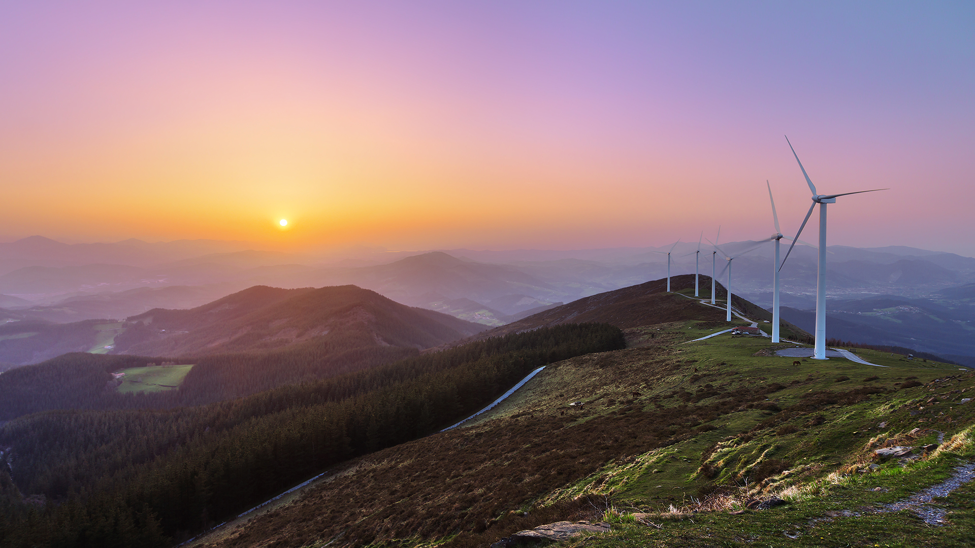 windmills and sunset