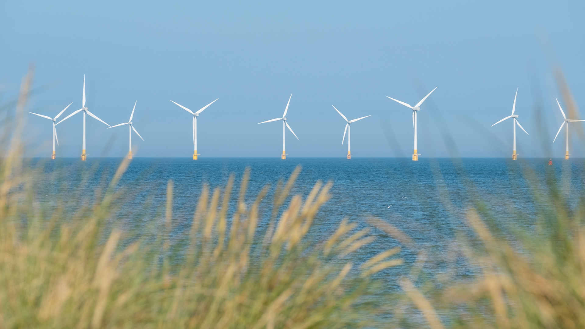 Energy-renewables-windmill-offshore-Wind-AdobeStock_447553732