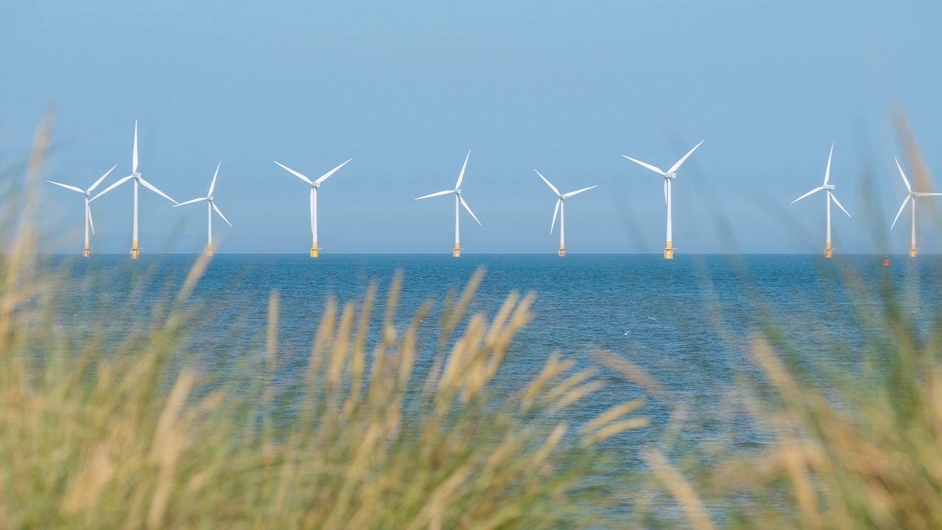New EPBC Act Key Factors Guidance for Australia’s Offshore Wind Industry