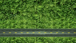 Environment