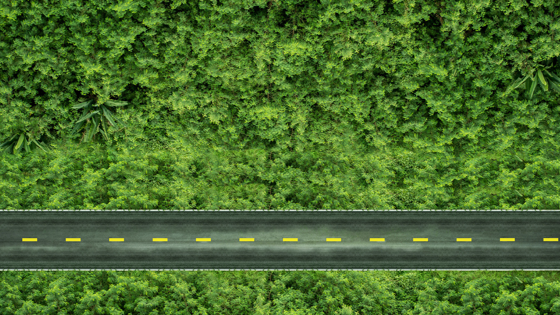 “Climate cartel” or sustainability? 