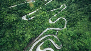 top view of curved road through forest