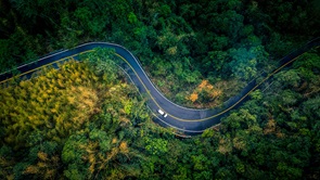 top-view-forest-road