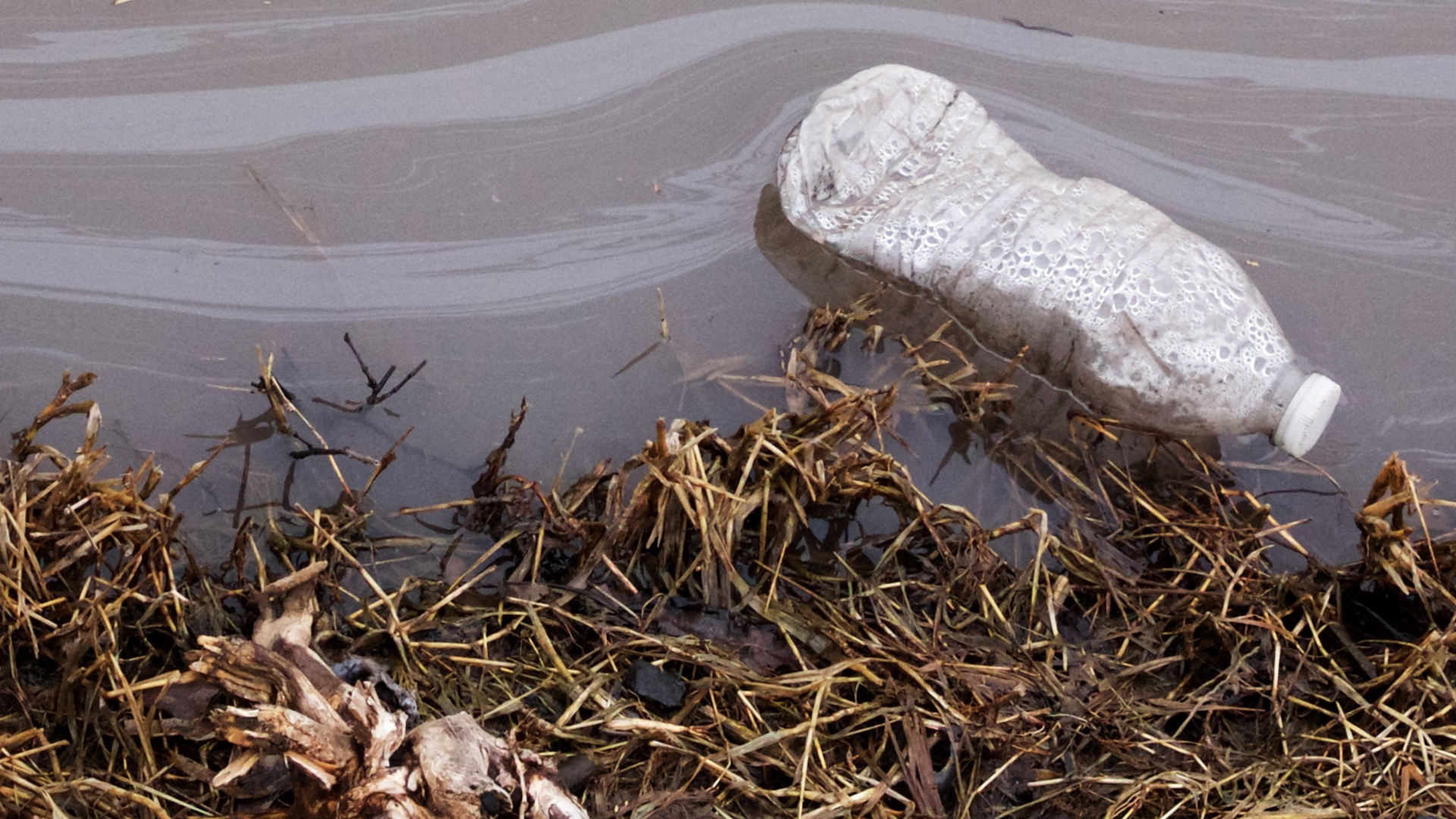 Catching up on contamination: There is PFAS news