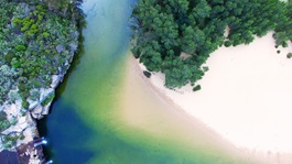 Environment-green-sand-beach