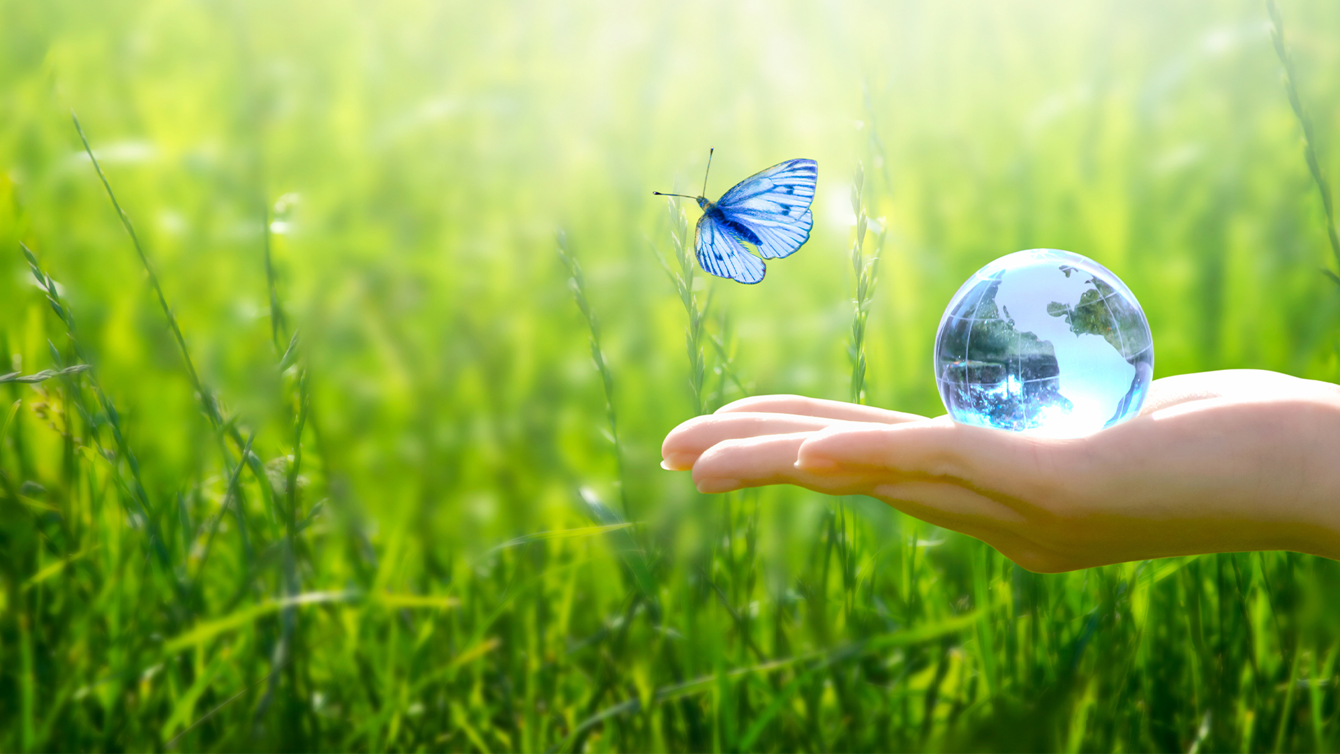 European Parliament and Council reach agreement on Corporate Sustainability Due Diligence Directive (CSDDD)