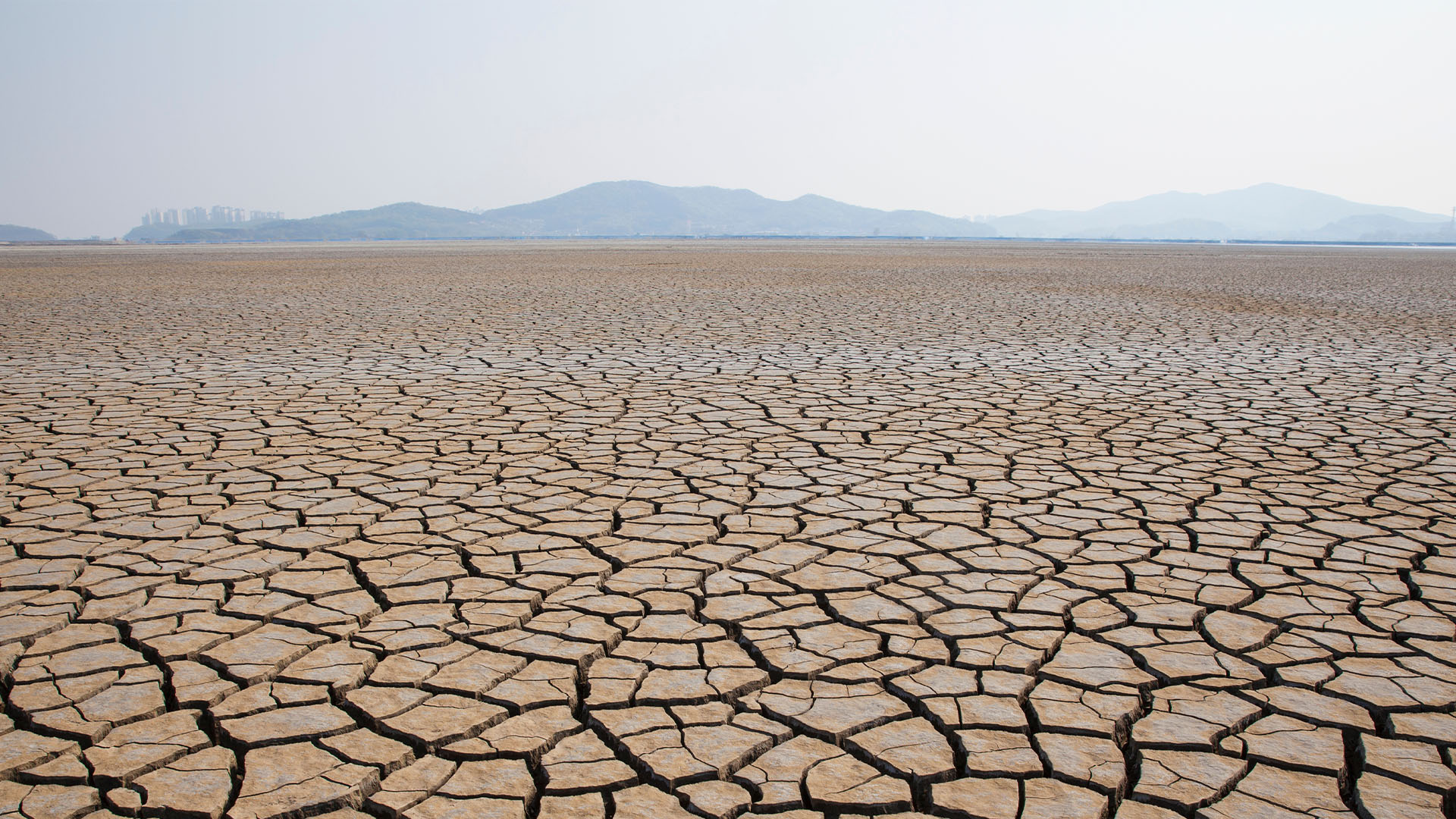 The NEC launches new climate change clause