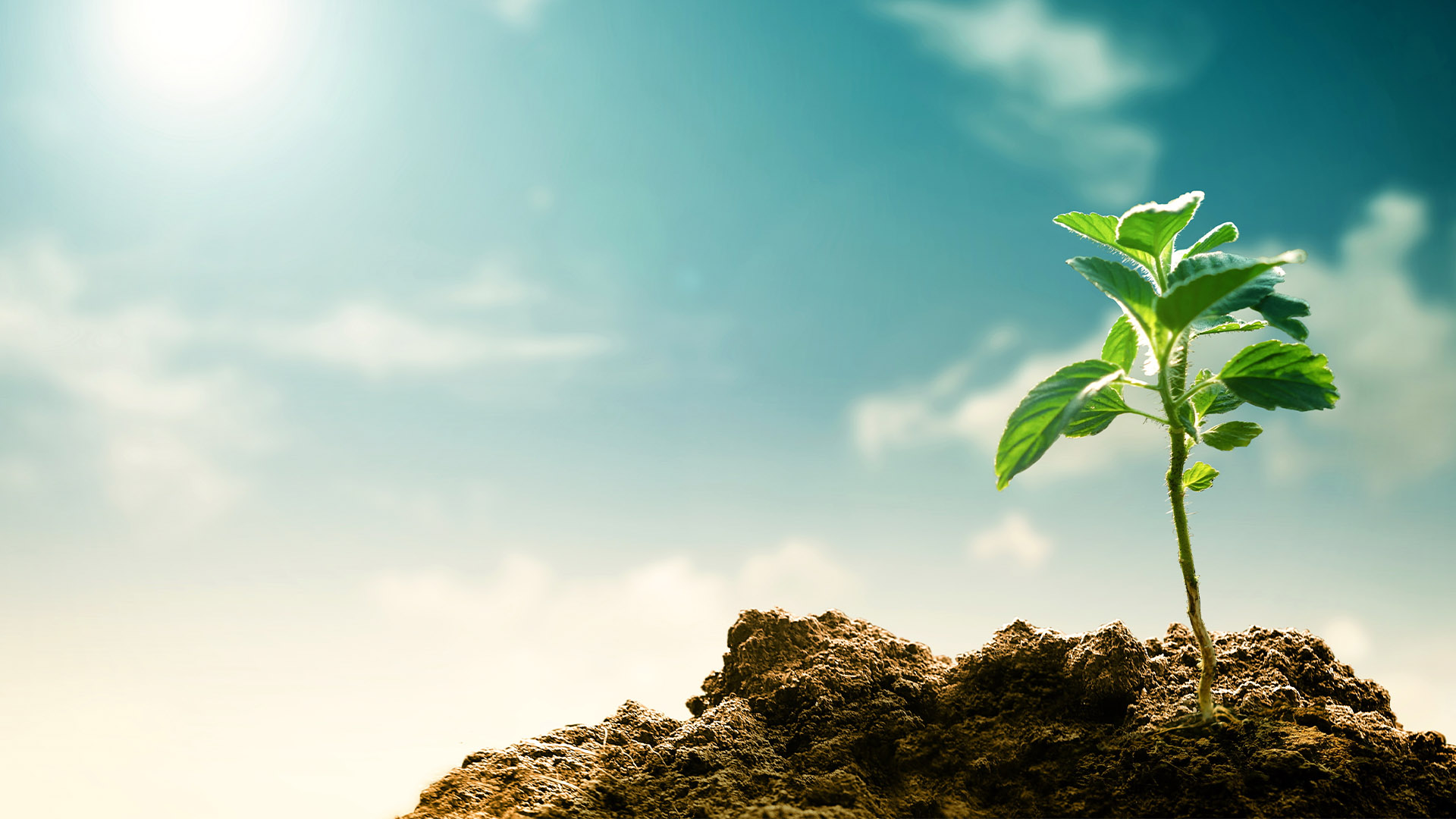 Release of Victoria’s new Environment Protection Regulations for